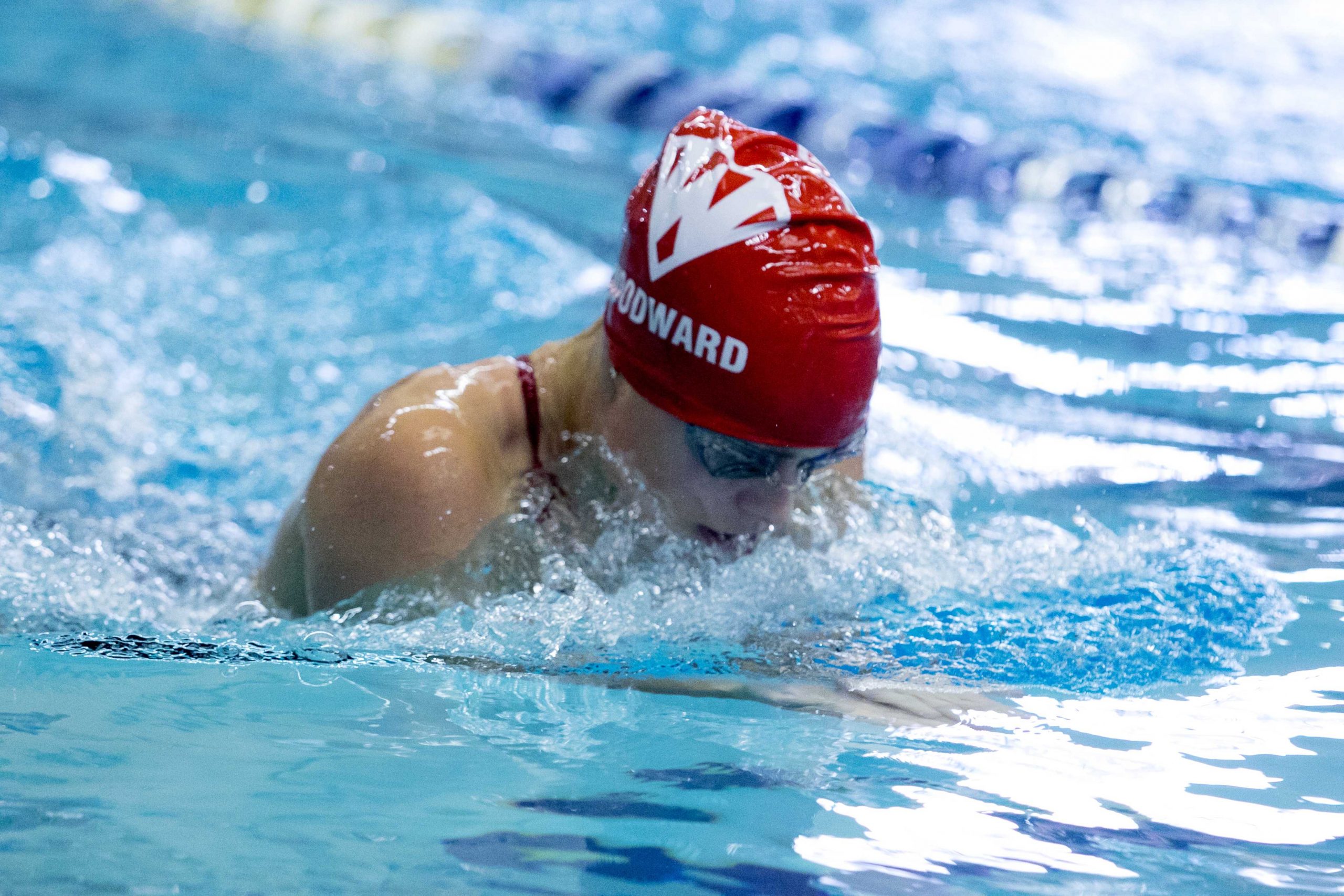 Swim and Dive: Successful season ends at state finals