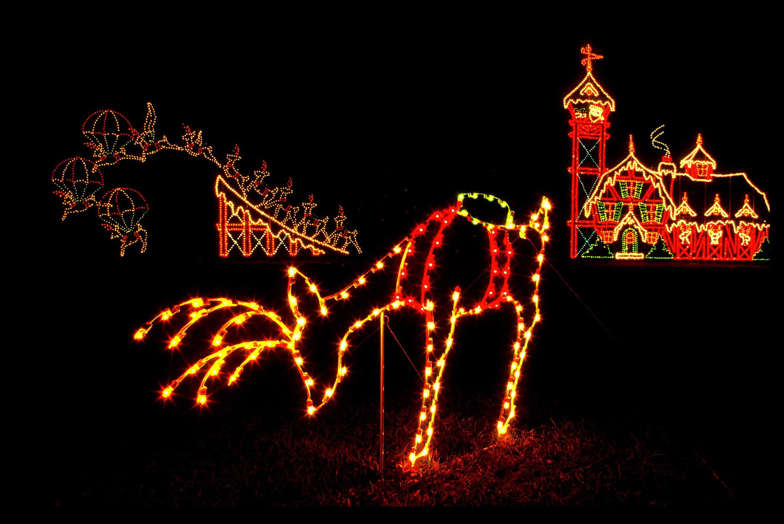 Winter lights dazzle nights