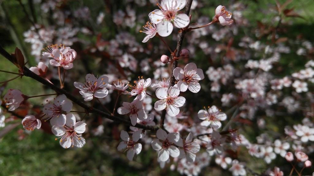 Online Exclusive: Activities to do during spring
