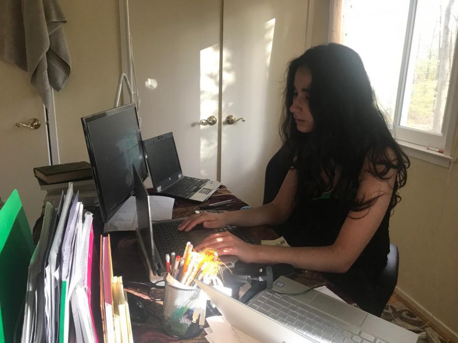 Senior Nastaran Moghimi finishes school work on her laptop.
