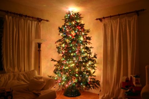 A family’s Christmas tree is put up in the corner of the room as it awaits the time when presents are put under it.