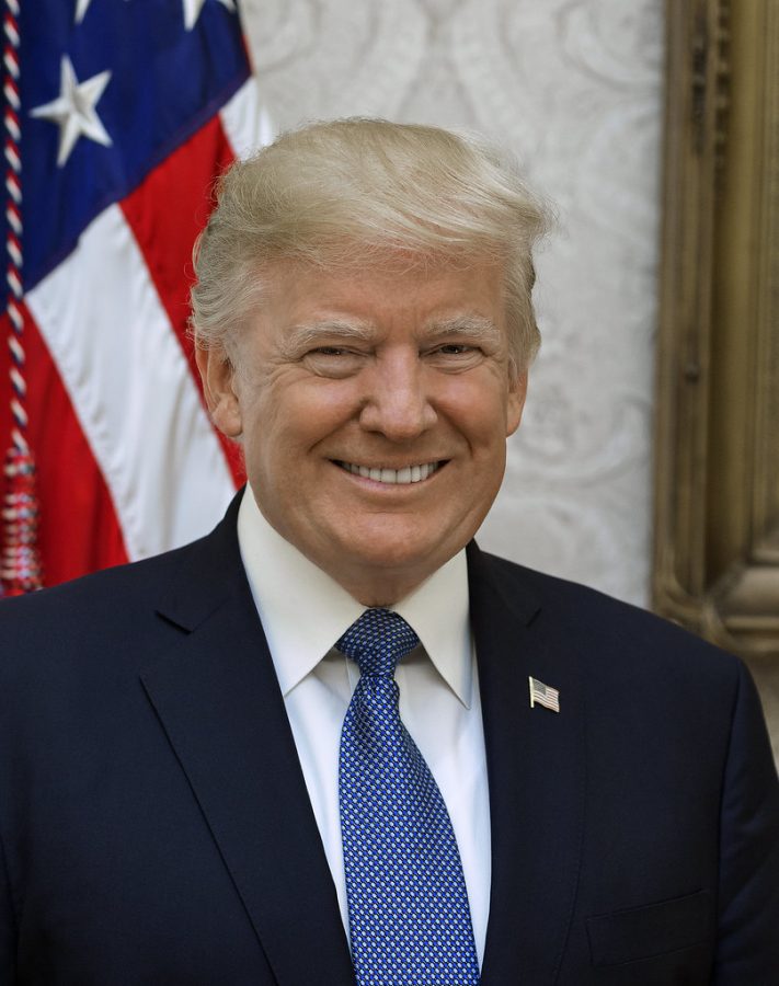 President Donald J. Trump smiles for an official portrait.