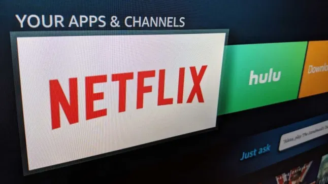 Netflix and Hulu streaming services on the TV.