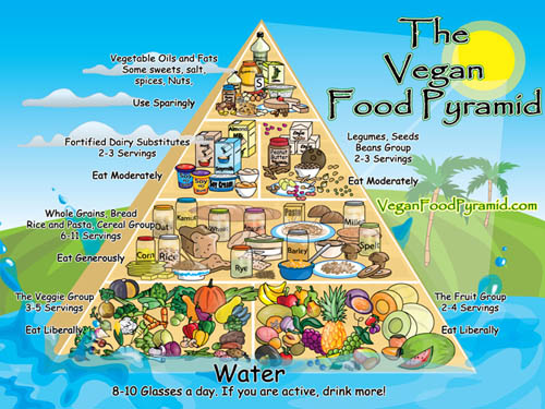 This vegan food pyramid features ar variety of vegan foods to eat in order to have enough nutrients. Foods are featured in ascending order of how much food to eat in different food groups. 