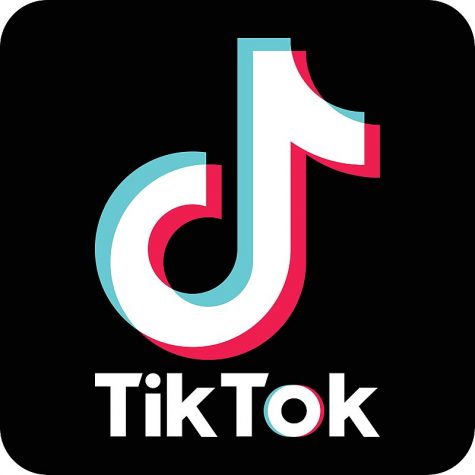 Tik Tok is a place where lots of people share their opinions.