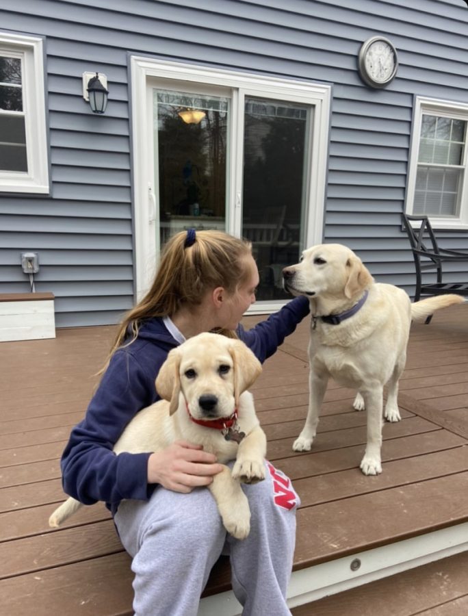 Junior Lizzie Nelson spends time with both of her dogs, as she is home all day now.