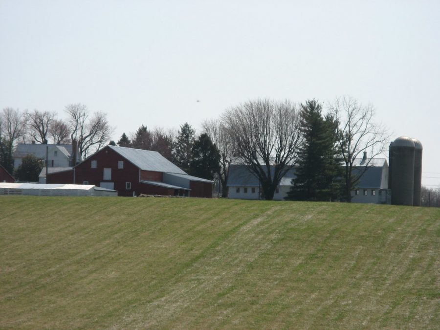 Side+view+of+the+Belward+Farm+barns+and+farmhouse.