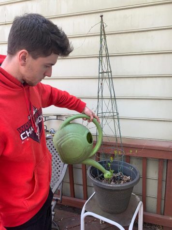Senior Jonathan Healy waters his cucumber plants after just planting them on Apr. 7.