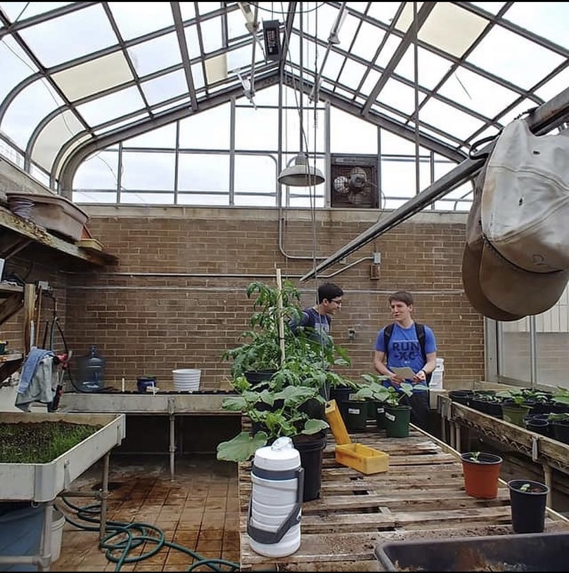 Students work in the schools greenhouse and tend to the crops they planted, in 2019.