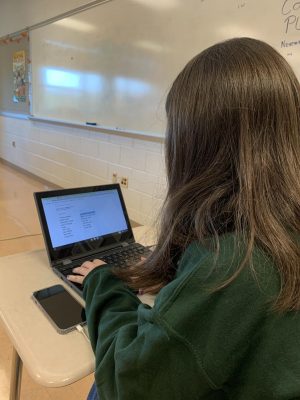 Senior Jayne Samborn works on an assignment for her AP Research class on Nov. 11.