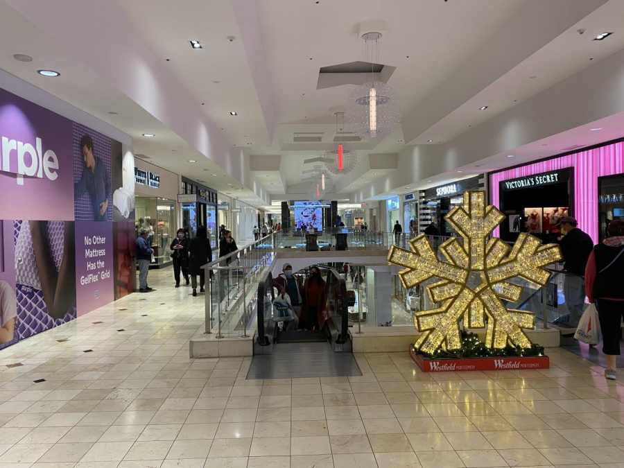 Westfield Montgomery Mall attempts to draw in Black Friday shoppers with the wide range of stores that it offers.