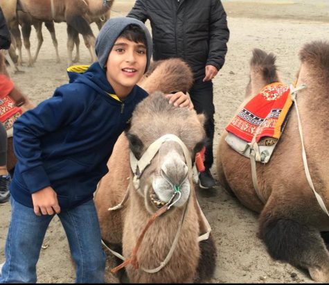 A young Sai Mandhan poses with a camel while visiting Australia.