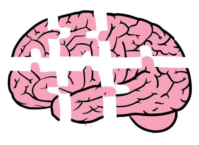The brain is similar to a puzzle in that it requires all pieces to fit together in order to function properly. Out of the parts of the brain, the frontal lobe is most important for puzzle solving.