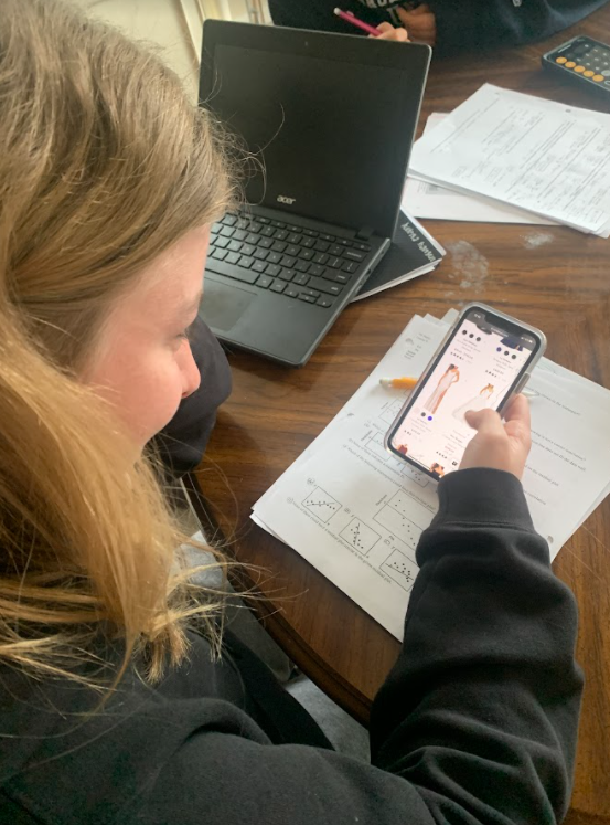 Senior Helena Hansen takes a break from homework to search for a prom dress online. With prom coming up, dresses have been in high demand and are going out of stock quickly. I have been spending a lot of my free time looking for a dress, Hansen said.