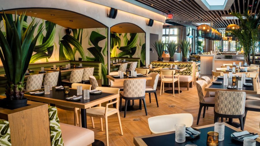Planta Restaurants interior reflects the plant-based menu.