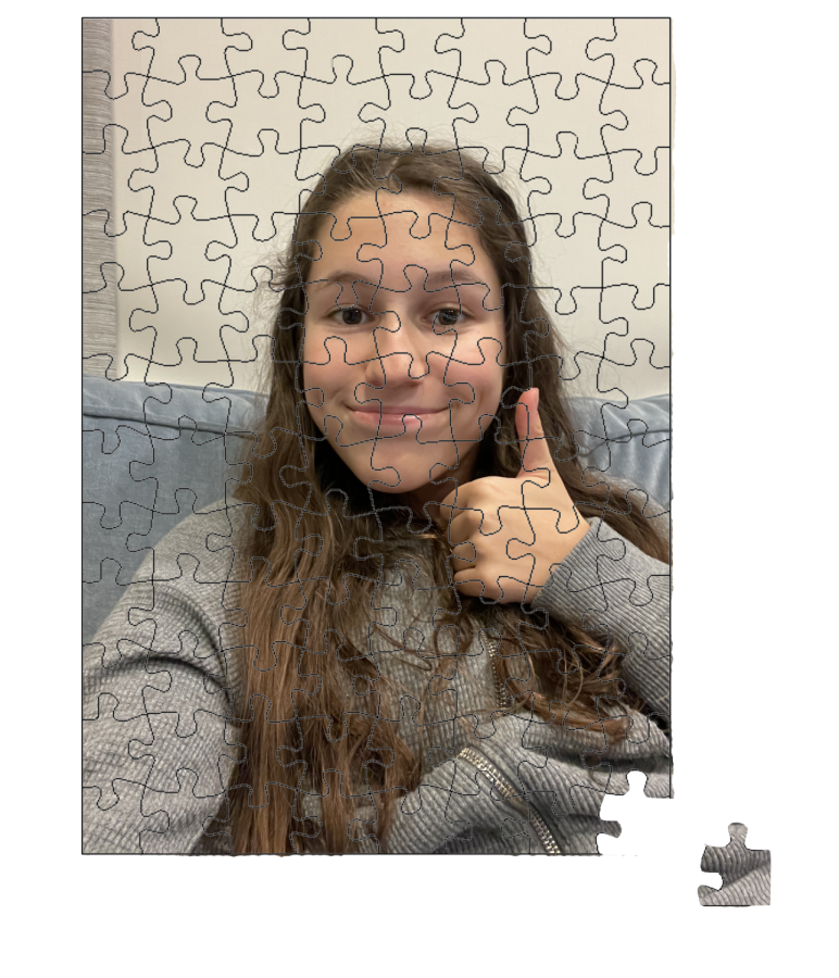When working on a jigsaw puzzle, it is best to start with corners and edges. Junior Dylan Cohen made a rookie mistake: When solving her own puzzle, she saved the corners for last.
