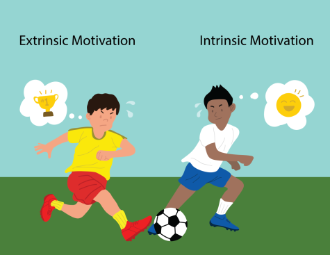 Intrinsic vs. Extrinsic motivation - playing to play vs. playing to win.
