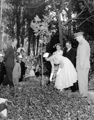 A young Queen Elizabeth II plants a tree while on a diplomatic world tour. Her husband, Prince Phillip, watches.