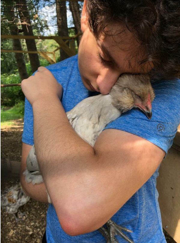 Senior+Ben+Shoykhet+holds+a+sleepy+chicken+from+his+familys+small+farm%2C+where+they+use+regenerative+agriculture+to+help+spread+awareness+about+environmental+farming+practices.+Their+farm+also+donates+eggs+and+produce+to+local+food+pantries%2C+to+help+reduce+food+insecurity.+Every+individual+has+the+power+to+help+combat+the+issues+our+communities+face%2C+even+from+their+own+homes.