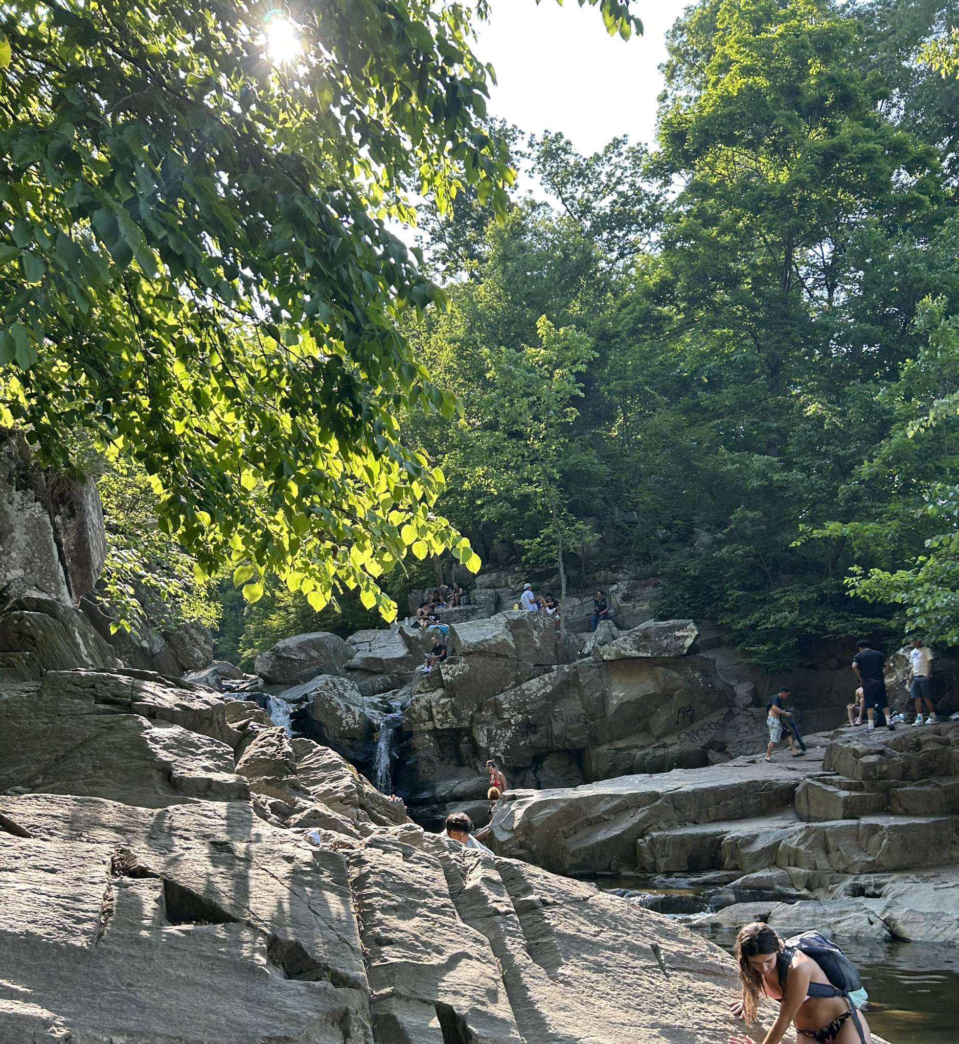 Juniors Zo Singh and Lizzie Misovec explore Scotts Run.