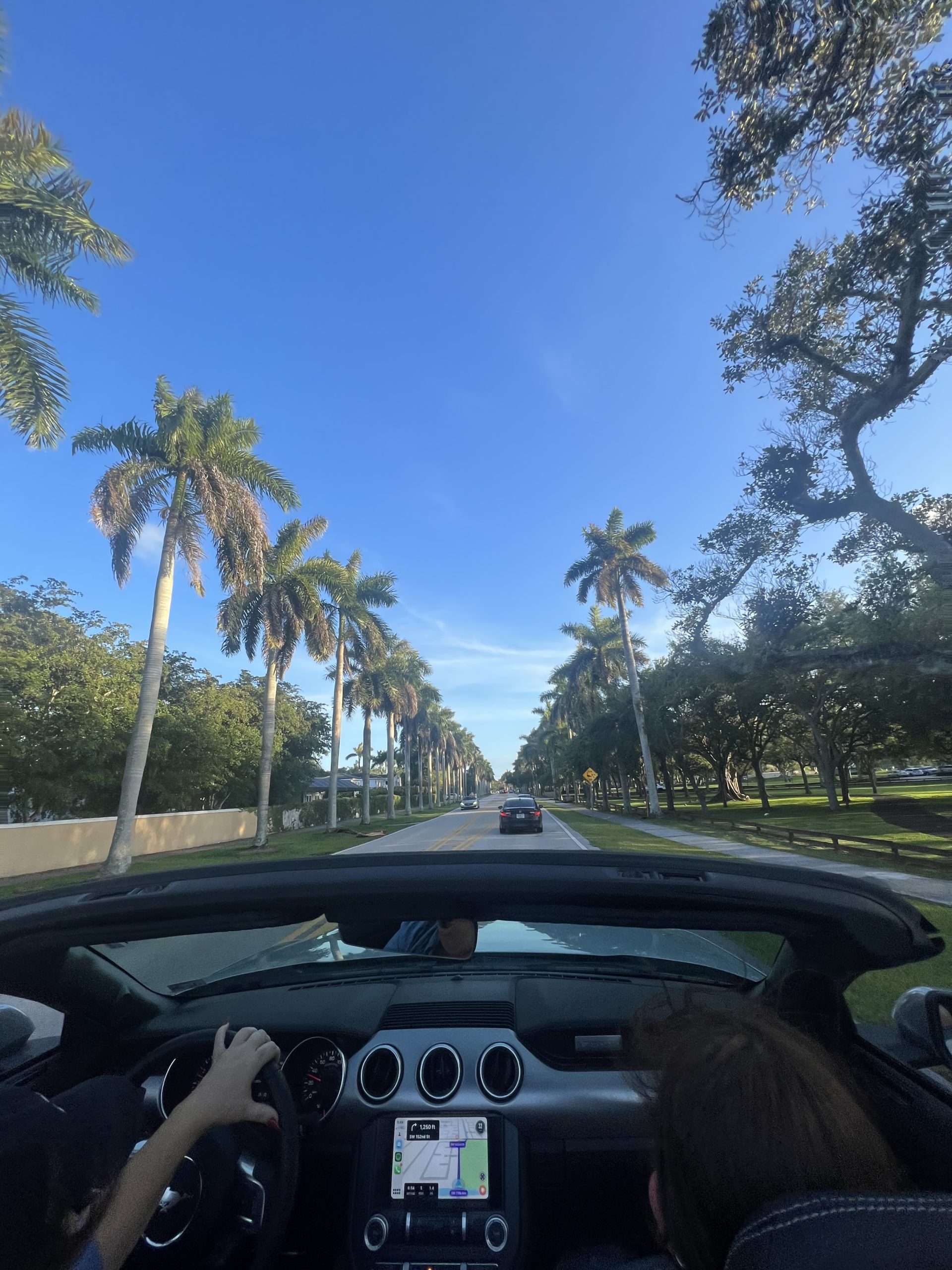 Junior Catherine Clark drives through Miami over spring break. You definitely have to be more aware of your surroundings on the road during spring or summer break because people drive so much crazier, Clark said.