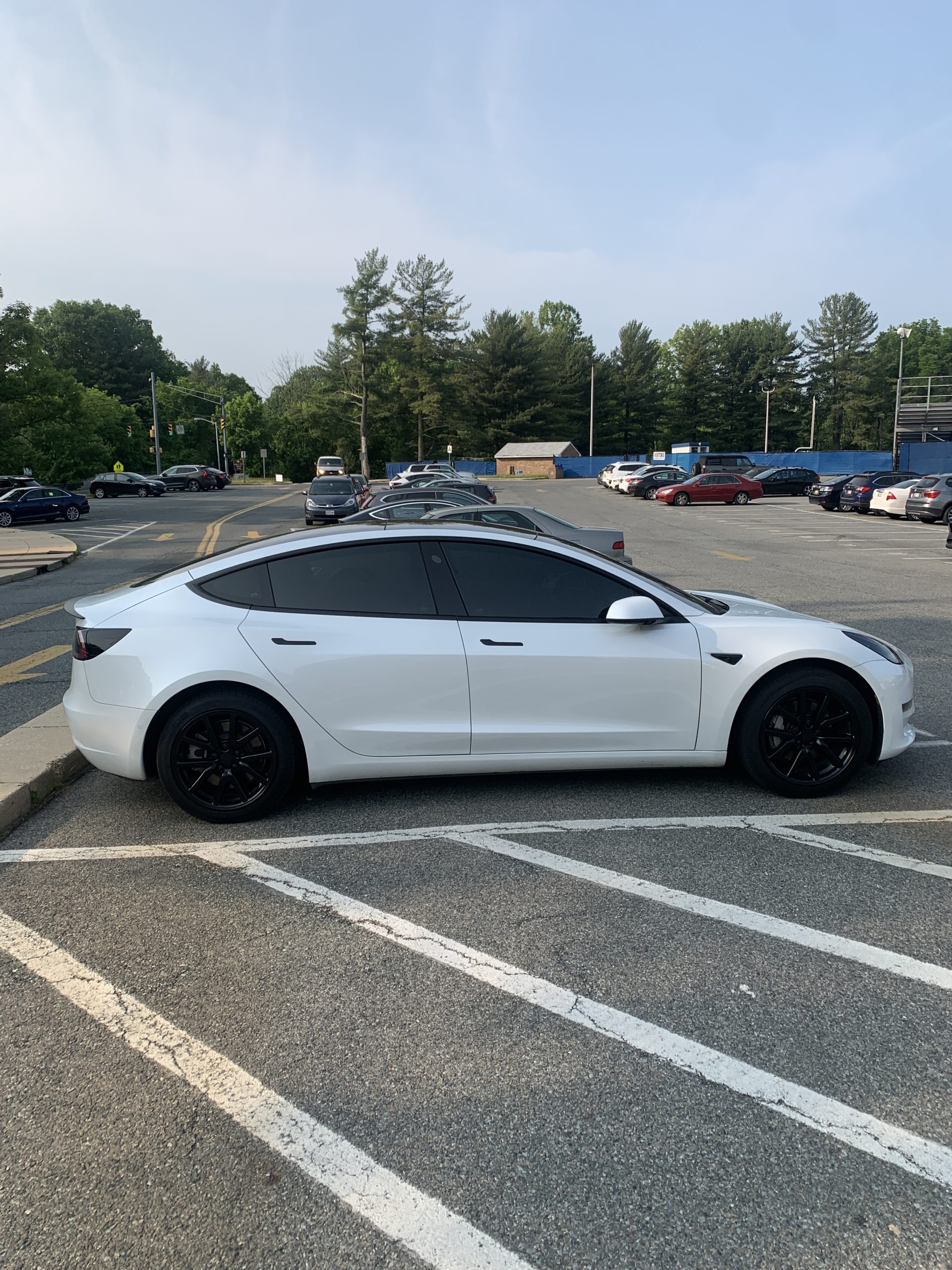 Electric teslas have become increasingly common sights in the parking lot.