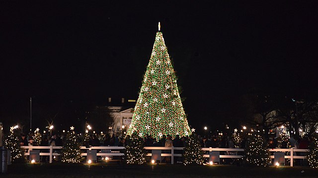 Trees make up the Pathway of Peace representing each of the U.S. states, territories, and districts surrounding the National Christmas Tree in Washington, D.C..
