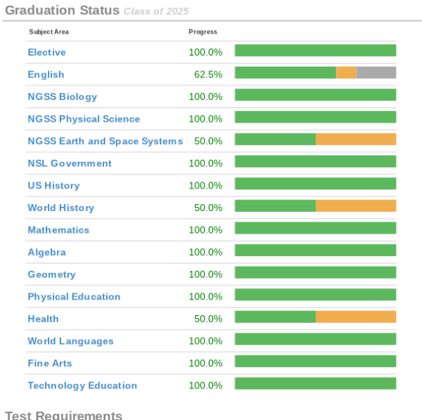 Common Sense staff writer Noah Friedmans graduation status shows the courses required to graduate. Financial literacy is inexplicably not one of the courses on the list.