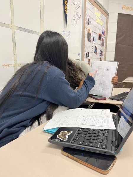 Sophomore Angelina Huang studies for upcoming precalculus assessment on Mar. 6.