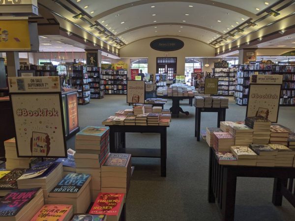 Several bookstores across the country, such as Barnes & Noble, have recently introduced stands designated for books that have gone viral on TikTok. A large percentage of these displayed books are dark romance novels by popular authors such as Colleen Hoover.