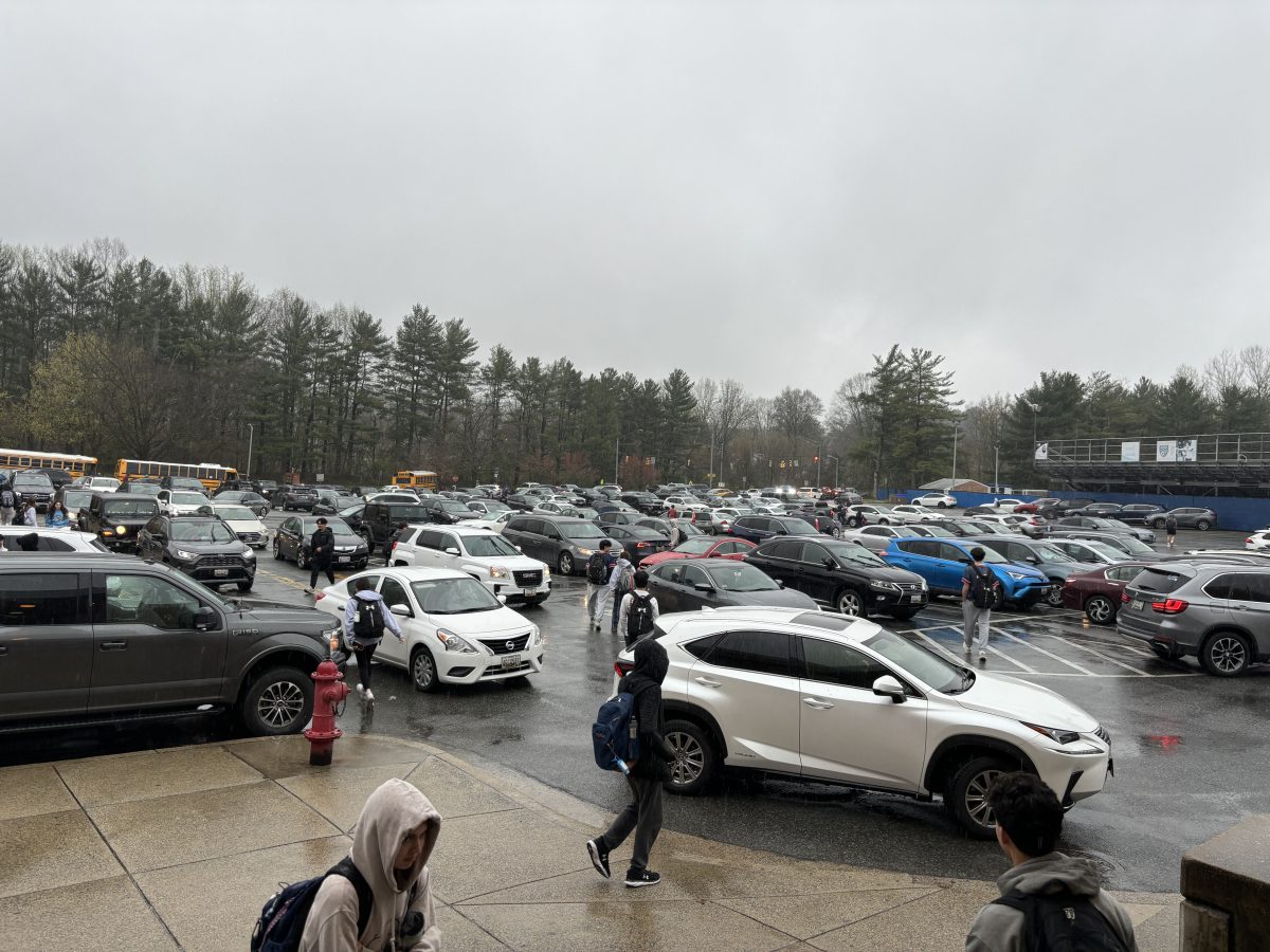 The+parking+lot+has+caused+controversy+between+juniors+and+seniors+this+year%2C+but+that+does+not+deter+sophomores+from+hoping+for+spots+next+year.+%E2%80%9CI+hope+I+can+get+a+parking+spot+for+my+junior+year%2C%E2%80%9D+sophomore+Jonas+Klein+said.