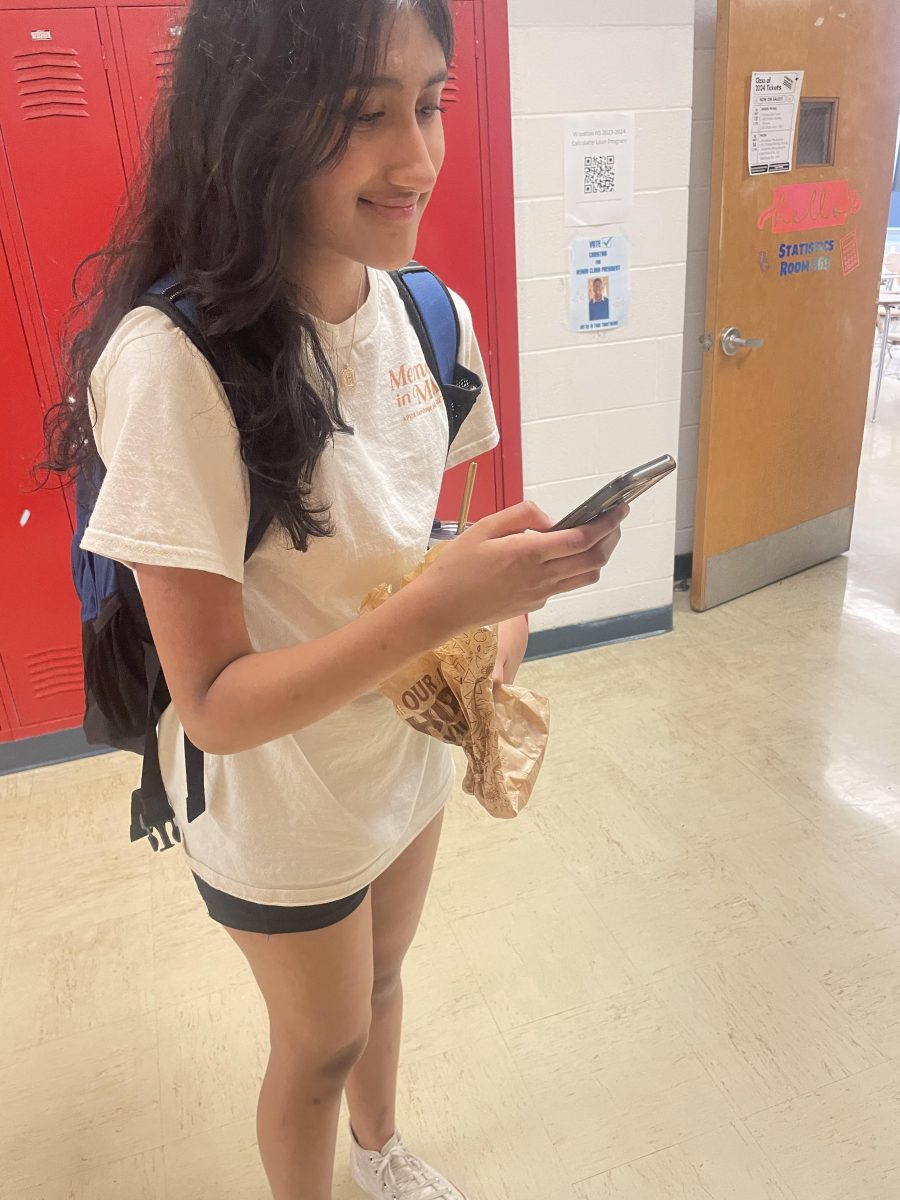 Freshman Manasa Iyer scrolls through Five Belows website, looking for LED lights for her room.