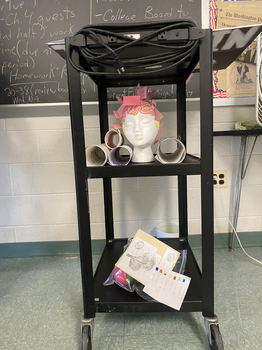 Psychology students turn in their brain projects on Oct. 4. "Projects like this allow students to visualize the big picture and be more engaged in their classes," social studies teacher Amy Pollin said.