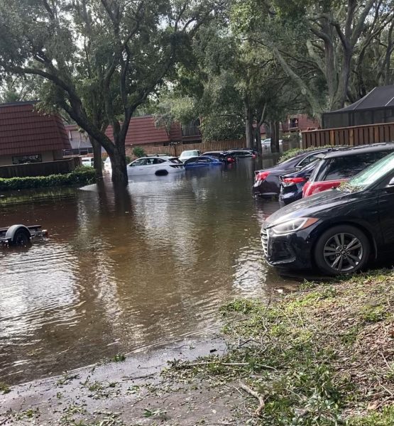 Florida resident John Annis captures the devastation of Hurricane Milton outside his home in Tampa Bay.