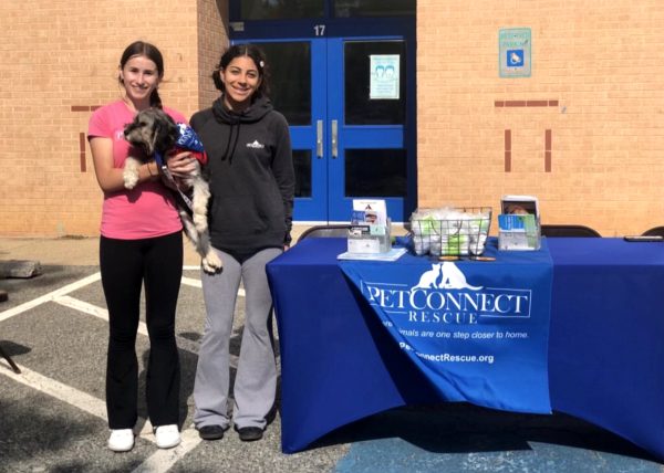 At Fall Festival, Pet Connect promoted its organization by letting students interact with dogs available for adoption. Juniors Mia Stubbins  and Isy Caban represented the club at the festival.