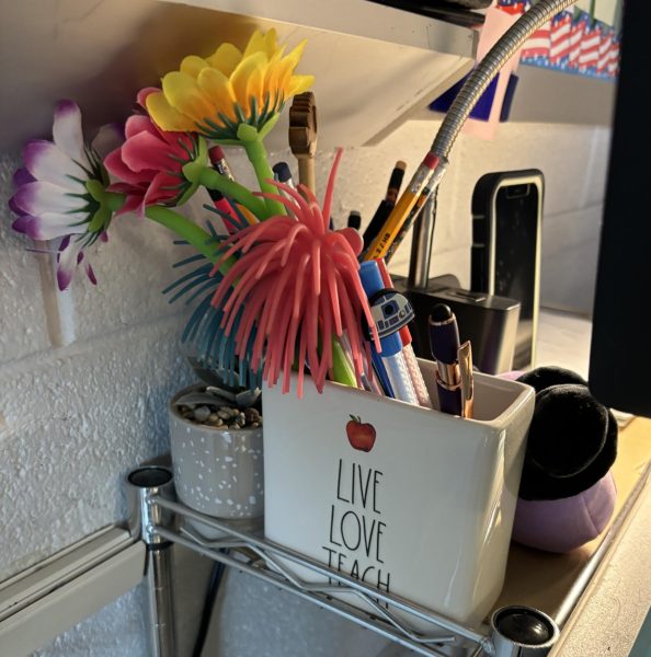 AP Psychology teacher Jennifer Bauer's pen collection sits atop her desk on Tuesday, Nov. 19. She has three flower pens, one R2-D2 pen and several others. Bauer said, "My aunt thinks it's fun to buy me fun pens."