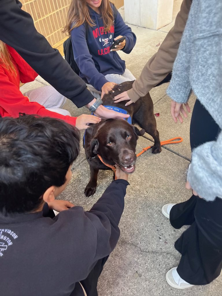 Students visit therapy dogs Brie and Cheddar outside the comms on Oct. 28. “My favorite part about when Brie and Cheddar come is seeing students faces light up when they see the dogs,” SGA member and junior Jilli Nalibotsky said.