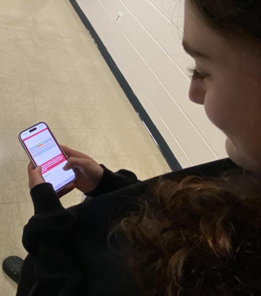 Sophomore Veronika Khrimian uses the DMV Permit Practice app to prepare for her permit test. 