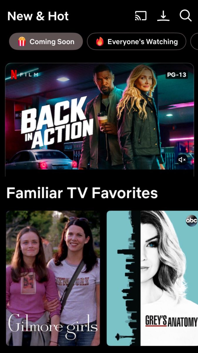 Upcoming shows on Netflix are fan favorites.