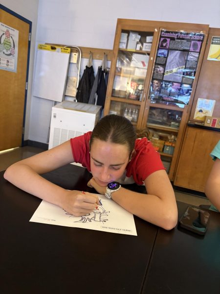 Freshman Nicole Kaffee sits in sixth-period biology, feeling tired and unfocused. "During sixth period, I almost fall asleep because it's right after lunch," Kaffee said.