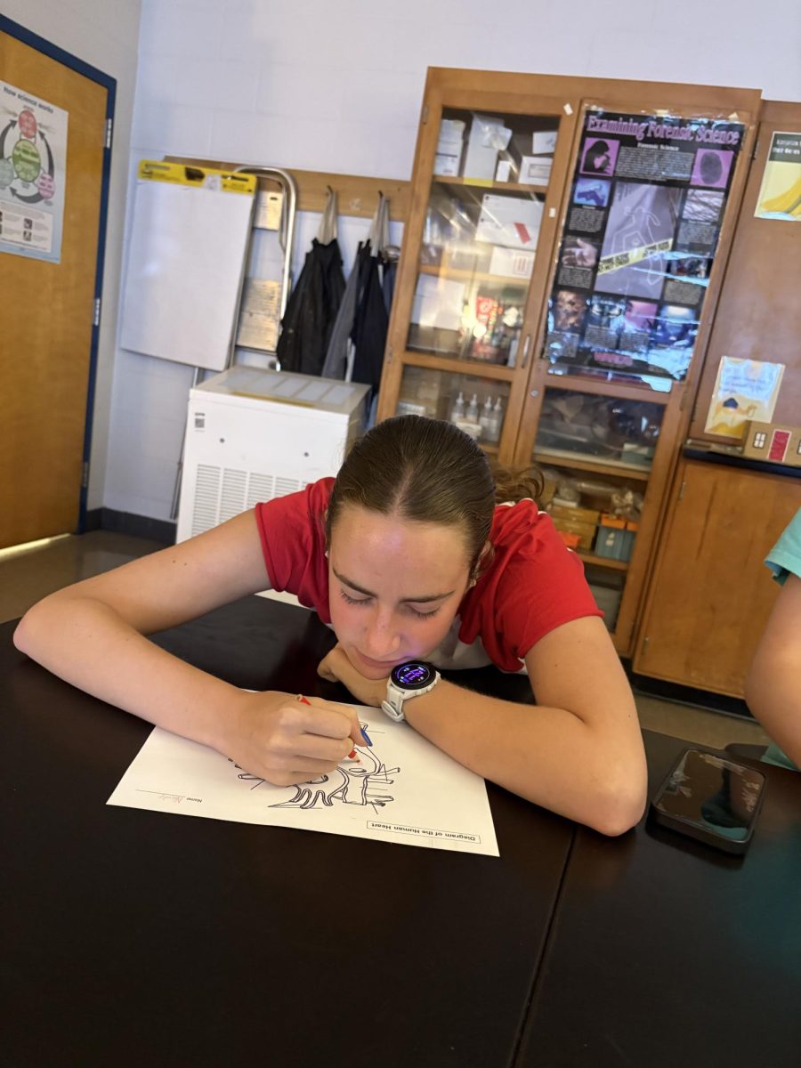 Freshman Nicole Kaffee sits in sixth-period biology, feeling tired and unfocused. "During sixth period, I almost fall asleep because it's right after lunch," Kaffee said.