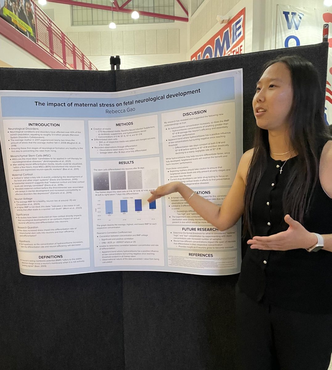 Senior Rebecca Gao presents her AP Research project at the AP Research Symposium on Apr. 24. "Finding a topic for my project was pretty easy for me. I had done some previous work with microbiology over the summer and wanted to continue with something similar in my project, so I decided on stem cells pretty quickly," Gao said.
