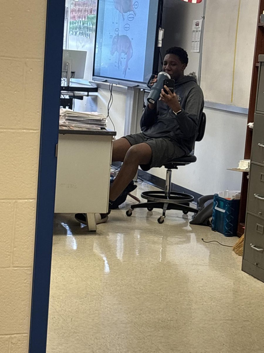 Senior Temi Amedola plays Candy Crush during lunch. "I love playing phone games as a way to pass the time, especially during the end of the school year when I am getting less and less work, I have more free time and need things to fill that time," Amedola said.