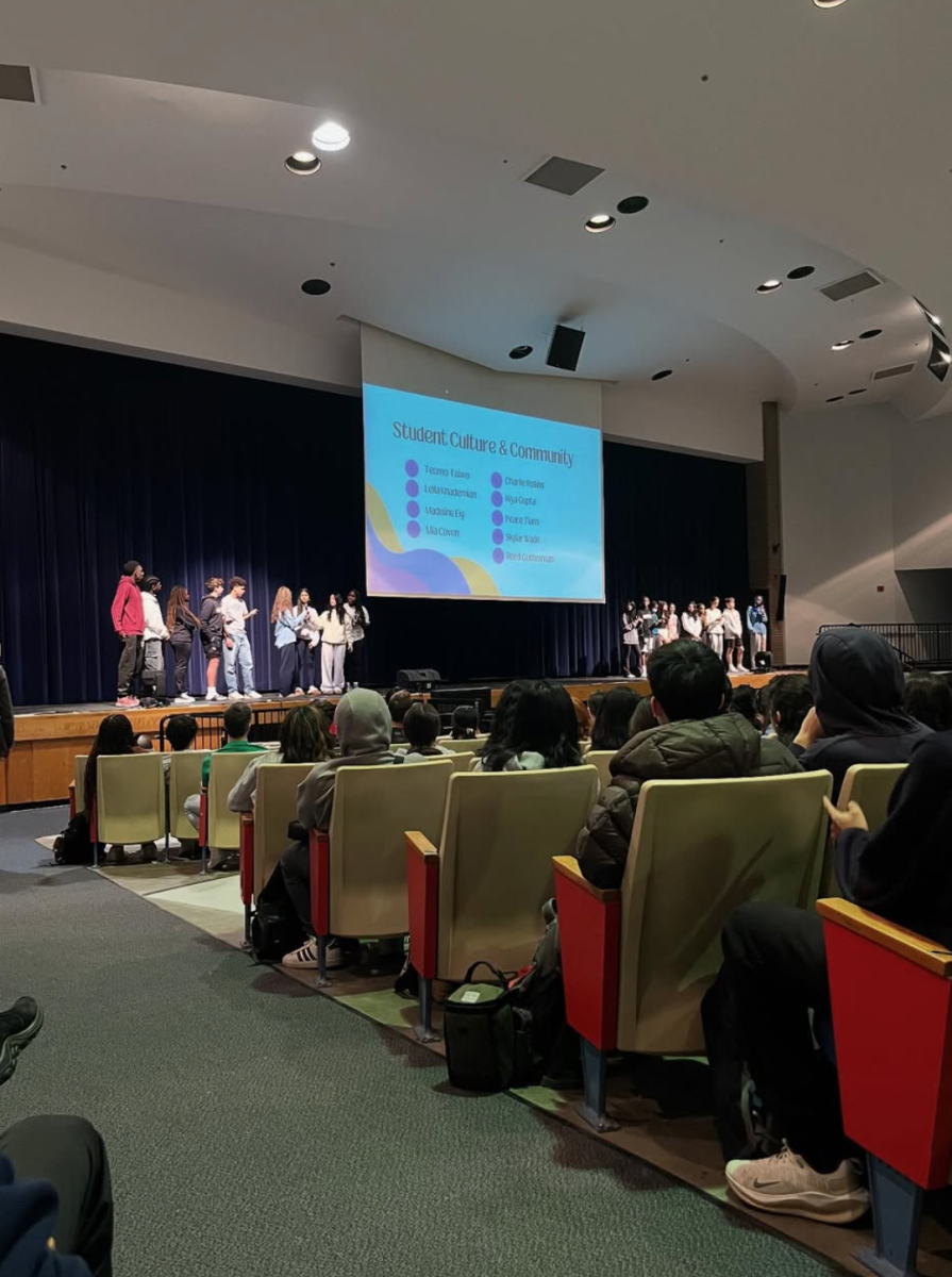 The MLSA leads a town hall on Apr. 2 and 3 to discuss with students the themes of psychological safety and well-being. The student-led organization "allows for support for specific needs of student groups," senior Madeline Eig said.