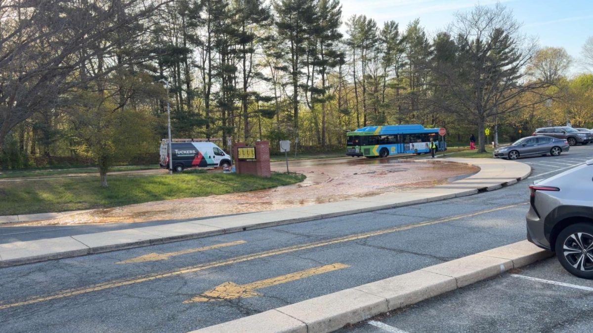 Muddy water pools at the bottom of the bus parking lot around 8:30 a.m. on Friday, Apr. 10. This was later revealed to be water, not sewage, that had built up due to a water main break under Wootton Parkway.