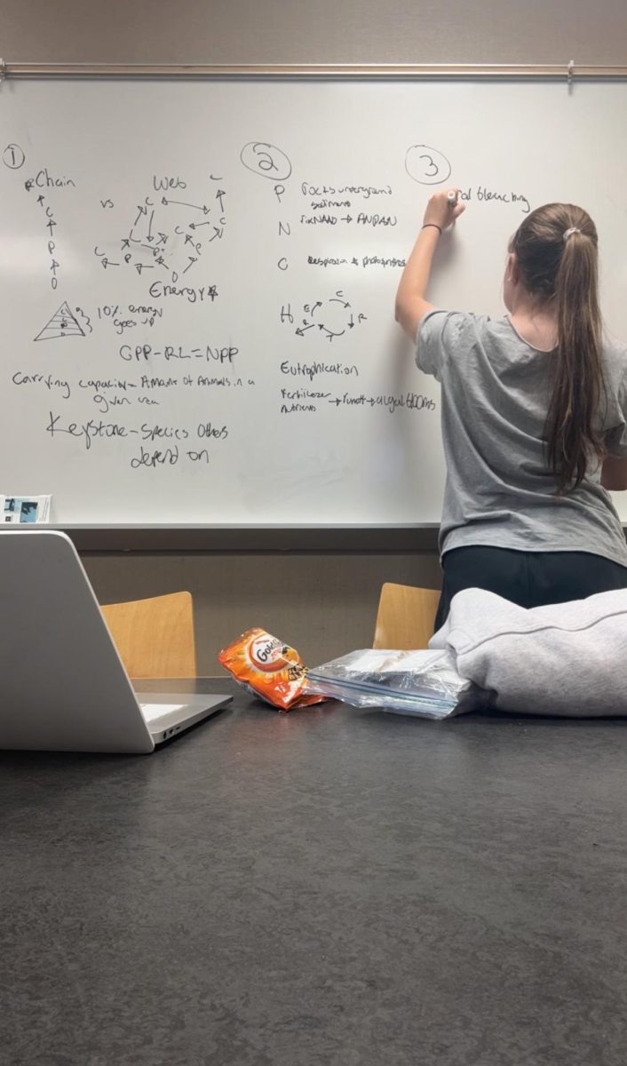 Junior Noa Lucas studies at Shady Grove University for all three of her exams, including AP Environmental Studies. "I go to the library after school to get my homework done, and then study for all of my exams that week. I stay for hours almost every day," Lucas said.